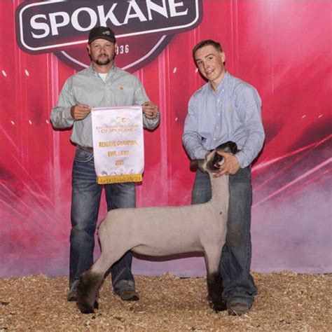 shroyer show stock|shroyer show champions list.